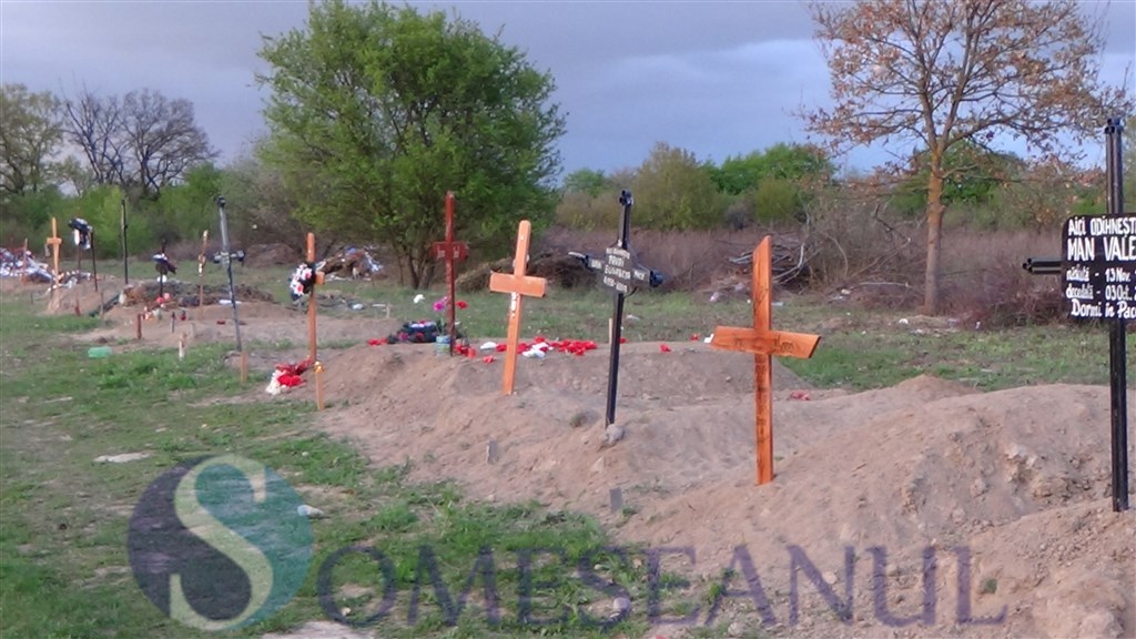 Mormintele din cimitirul Dealul Florilor Dej vandalizate de o turma de oi (3)