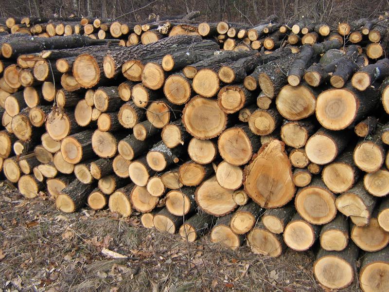 material-lemnos